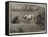 Sport in California, a Bull and Bear Fight-Samuel Edmund Waller-Framed Stretched Canvas