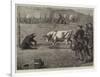 Sport in California, a Bull and Bear Fight-Samuel Edmund Waller-Framed Giclee Print