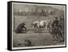 Sport in California, a Bull and Bear Fight-Samuel Edmund Waller-Framed Stretched Canvas