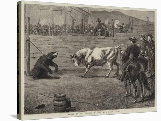 Sport in California, a Bull and Bear Fight-Samuel Edmund Waller-Stretched Canvas