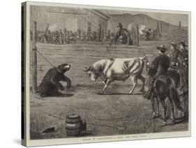 Sport in California, a Bull and Bear Fight-Samuel Edmund Waller-Stretched Canvas