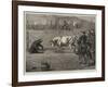 Sport in California, a Bull and Bear Fight-Samuel Edmund Waller-Framed Giclee Print