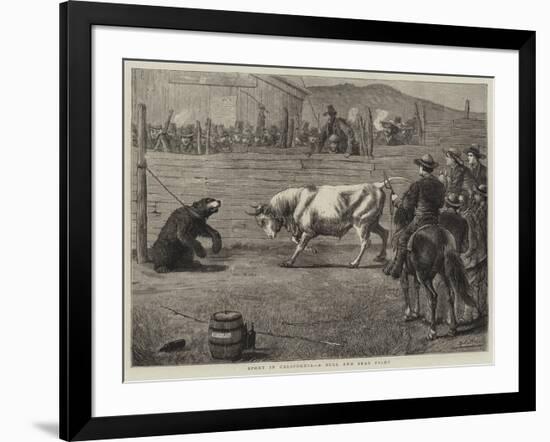 Sport in California, a Bull and Bear Fight-Samuel Edmund Waller-Framed Giclee Print