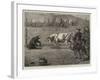 Sport in California, a Bull and Bear Fight-Samuel Edmund Waller-Framed Giclee Print