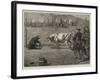 Sport in California, a Bull and Bear Fight-Samuel Edmund Waller-Framed Giclee Print