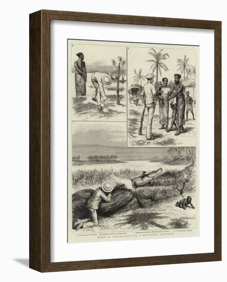 Sport in Ceylon, Shooting a Man-Eating Crocodile-null-Framed Giclee Print