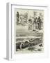 Sport in Ceylon, Shooting a Man-Eating Crocodile-null-Framed Giclee Print