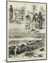 Sport in Ceylon, Shooting a Man-Eating Crocodile-null-Mounted Giclee Print