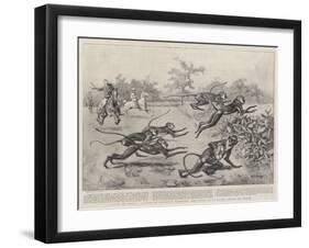 Sport in India, a Troop of Monkeys Crossing the Line of a Paper Chase in India-William T. Maud-Framed Giclee Print