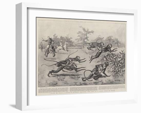 Sport in India, a Troop of Monkeys Crossing the Line of a Paper Chase in India-William T. Maud-Framed Giclee Print