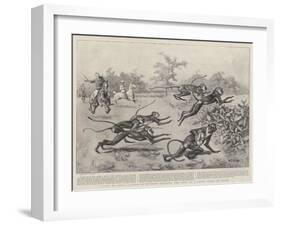 Sport in India, a Troop of Monkeys Crossing the Line of a Paper Chase in India-William T. Maud-Framed Giclee Print