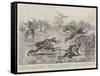 Sport in India, a Troop of Monkeys Crossing the Line of a Paper Chase in India-William T. Maud-Framed Stretched Canvas