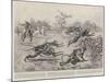 Sport in India, a Troop of Monkeys Crossing the Line of a Paper Chase in India-William T. Maud-Mounted Giclee Print