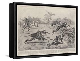 Sport in India, a Troop of Monkeys Crossing the Line of a Paper Chase in India-William T. Maud-Framed Stretched Canvas