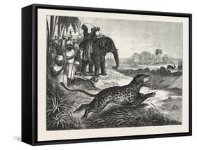 Sport in India, Hunting Antelopes with the Cheetah, 1876. Antelope, Animal, Big Cat, Wild Cat-null-Framed Stretched Canvas