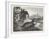 Sport in India, Hunting Antelopes with the Cheetah, 1876. Antelope, Animal, Big Cat, Wild Cat-null-Framed Giclee Print