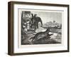 Sport in India, Hunting Antelopes with the Cheetah, 1876. Antelope, Animal, Big Cat, Wild Cat-null-Framed Giclee Print