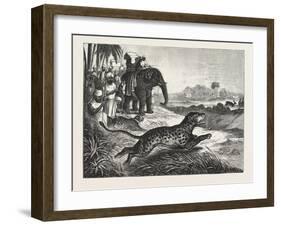 Sport in India, Hunting Antelopes with the Cheetah, 1876. Antelope, Animal, Big Cat, Wild Cat-null-Framed Giclee Print