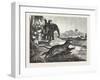 Sport in India, Hunting Antelopes with the Cheetah, 1876. Antelope, Animal, Big Cat, Wild Cat-null-Framed Giclee Print