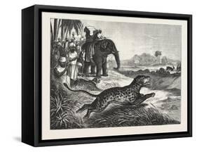 Sport in India, Hunting Antelopes with the Cheetah, 1876. Antelope, Animal, Big Cat, Wild Cat-null-Framed Stretched Canvas