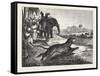 Sport in India, Hunting Antelopes with the Cheetah, 1876. Antelope, Animal, Big Cat, Wild Cat-null-Framed Stretched Canvas