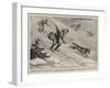 Sport in Lapland, a Wolf-Hunt on Ski-William T. Maud-Framed Giclee Print