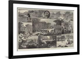 Sport in North Devon, Trout-Fishing and Otter-Hunting-null-Framed Giclee Print