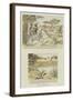 Sport in South Africa-Charles Edwin Fripp-Framed Giclee Print