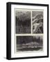 Sport in the Selkirks-Richard Caton Woodville II-Framed Giclee Print