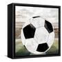 Sporting 4-Kimberly Allen-Framed Stretched Canvas