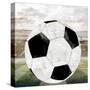 Sporting 4-Kimberly Allen-Stretched Canvas