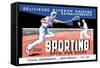 Sporting-null-Framed Stretched Canvas