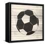 Sports 2-Kimberly Allen-Framed Stretched Canvas