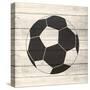 Sports 2-Kimberly Allen-Stretched Canvas