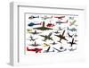 Sports and Passenger Aeroplanes, Gliders and Gyroplanes Isolated-JackF-Framed Photographic Print