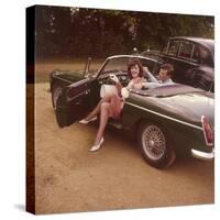 Sports Car Posers-null-Stretched Canvas