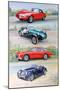 Sports Cars 1960s, 2006-Alex Williams-Mounted Giclee Print