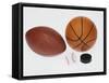 Sports Equipmet: Football, Baseball, Basketball,Hockey Puck-null-Framed Stretched Canvas