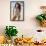 Sports Illustrated: Swimsuit Edition - Brooks Nader 23-Trends International-Framed Poster displayed on a wall