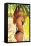 Sports Illustrated: Swimsuit Edition - Josephine Skriver 20-Trends International-Framed Stretched Canvas