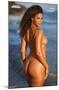 Sports Illustrated: Swimsuit Edition - Kamie Crawford 22-Trends International-Mounted Poster