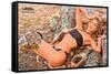 Sports Illustrated: Swimsuit Edition - Kim Riekenberg 20-Trends International-Framed Stretched Canvas