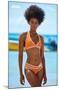 Sports Illustrated: Swimsuit Edition - Tanaye White 22-Trends International-Mounted Poster