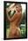 Sports Illustrated: Swimsuit Edition - Vital Sidorkina 18-Trends International-Framed Poster