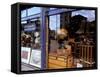 Sports Memorabilia Shop, Westbourne Grove, Notting Hill, London, England-Inger Hogstrom-Framed Stretched Canvas