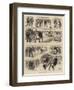 Sports on the Ice-null-Framed Giclee Print