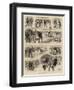 Sports on the Ice-null-Framed Giclee Print