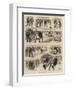 Sports on the Ice-null-Framed Giclee Print
