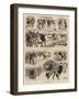 Sports on the Ice-null-Framed Giclee Print