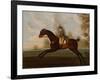 Sportsman, A Bay Hunter with Gentleman Up in a Wooded Landscape, 1773-Daniel Quigley-Framed Giclee Print